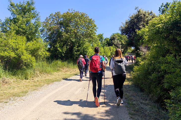 (Foto: TZ Fažana)