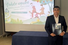 (Grad Buje)