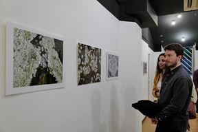 (Foto POUNGYOUNG KWAK)