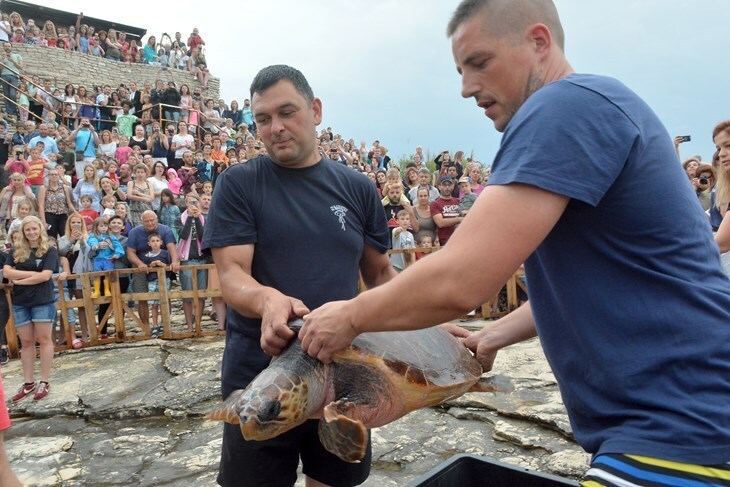 (Foto Aquarium Pula)