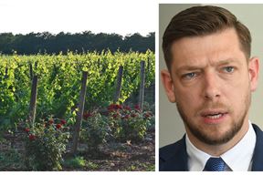 (Foto: Vinarija Peršurić, Milivoj Mijošek)