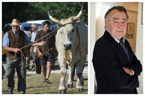 (Foto: Milivoj mijošek, Denis Lovrovic)