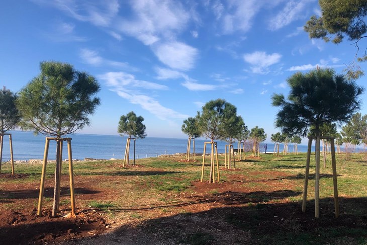 (Grad Umag)