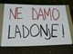 (Snimio Milivoj Mijošek)