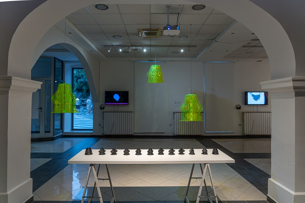 (Snimila Roberta Frančula, Studio 11)