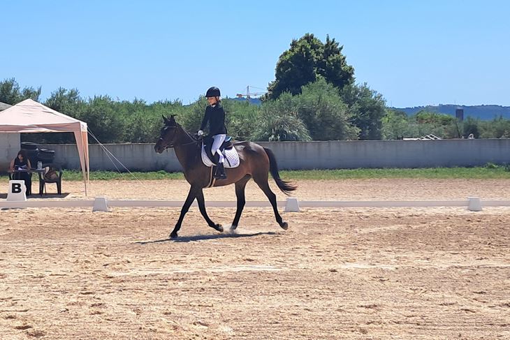 (Foto Konjički savez IŽ)