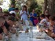 (Institut za poljoprivredu i turizam)
