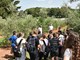 (Institut za poljoprivredu i turizam)