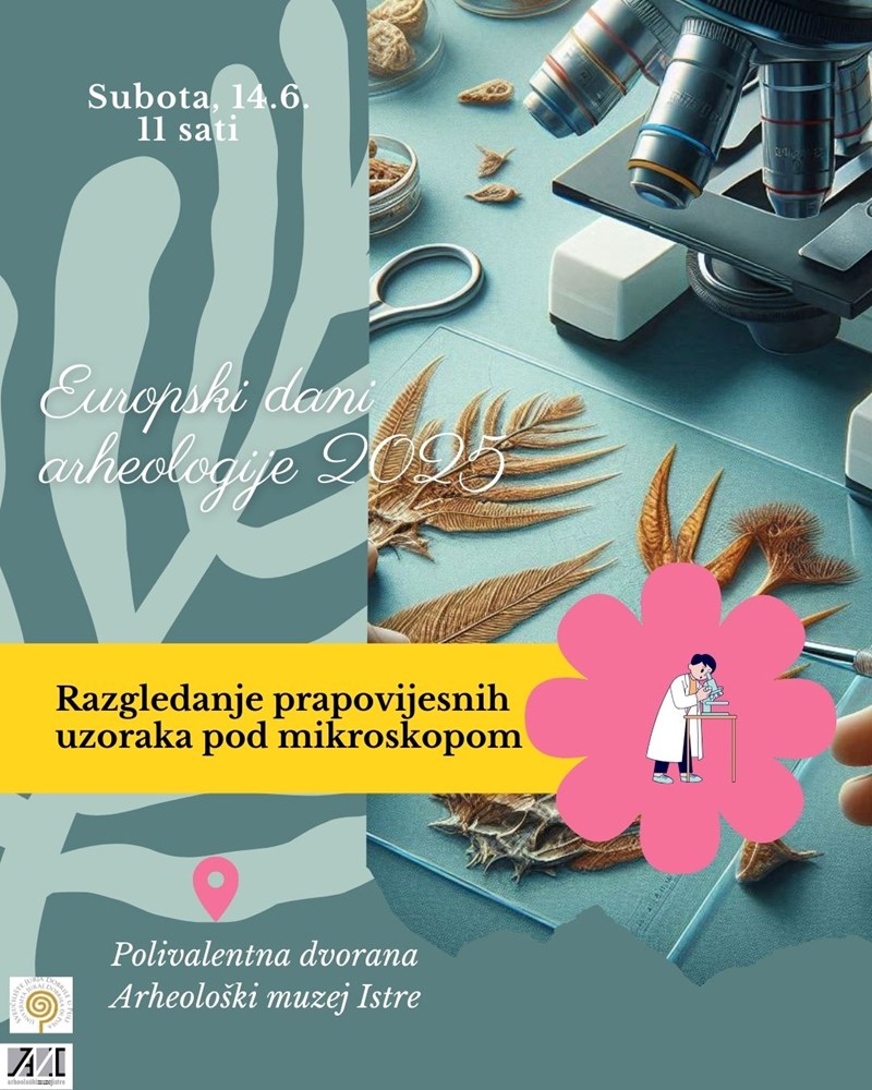 (Foto Arheološki muzej Istre)