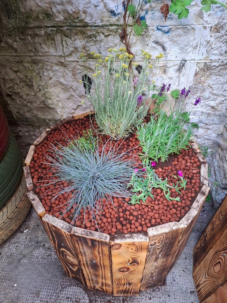 (Foto Zelena Istra)