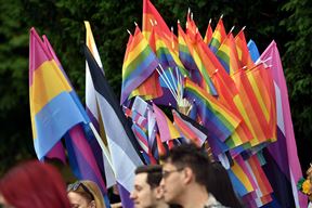 (Snimio Davor Kovačević / Novosti)