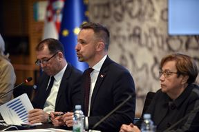 (Snimio Davor Kovačević / Novosti)