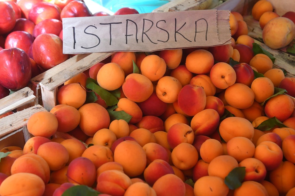 (Snimio Milivoj Mijošek)