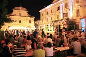 (Foto TZ Novigrad)