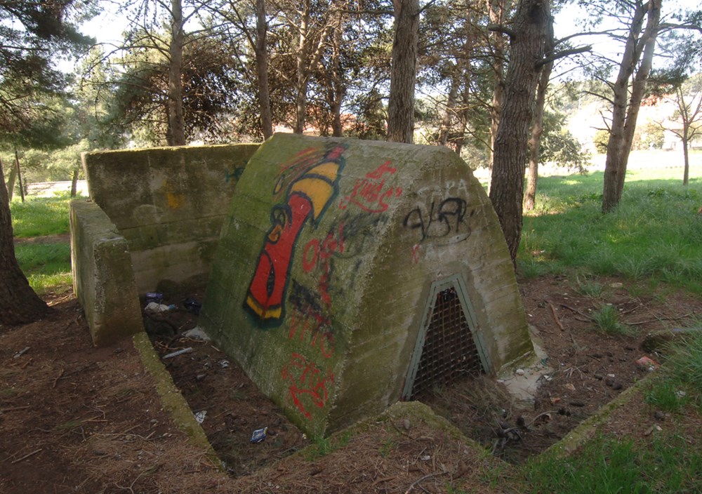 (Arhiva Glasa Istre)