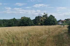 (Foto: Grad Pazin)
