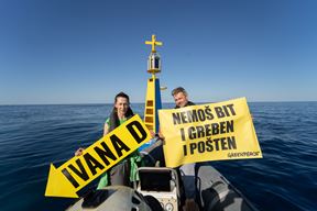 (Greenpeace)