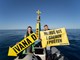 (Greenpeace)