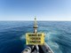 (Greenpeace)