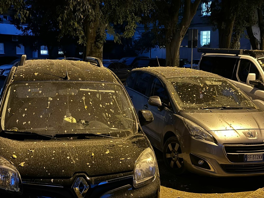 (Snimila čitateljica Glasa Istre)
