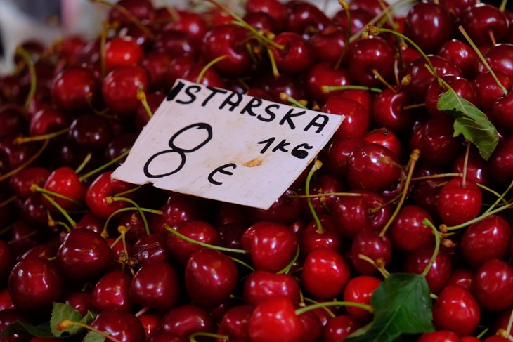 (Snimio Milivoj Mijošek)