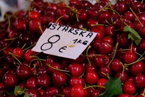(Snimio Milivoj Mijošek)