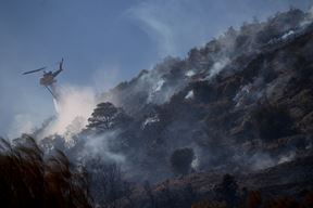 (Reuters)
