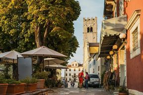 (Foto TZ Motovun)