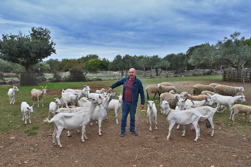 (Arhiva Glasa Istre)