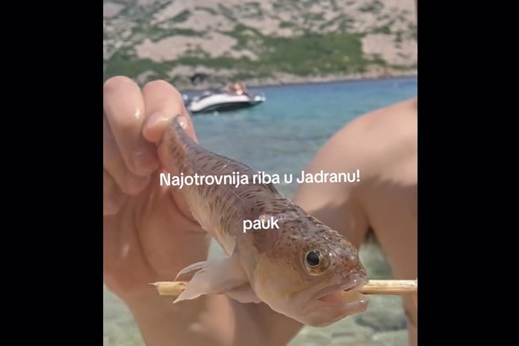 (Foto: Screenshot / TikTok)