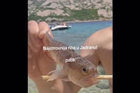 (Foto: Screenshot / TikTok)