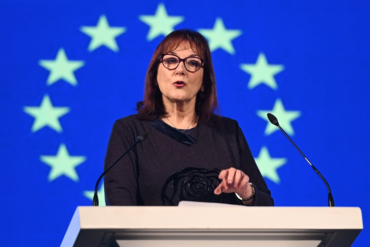 Dubravka Šuica (Snimio Davorin Višnjić / Pixsell)