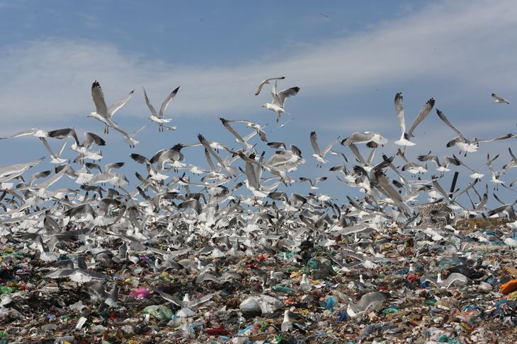 (Arhiva Glasa Istre)