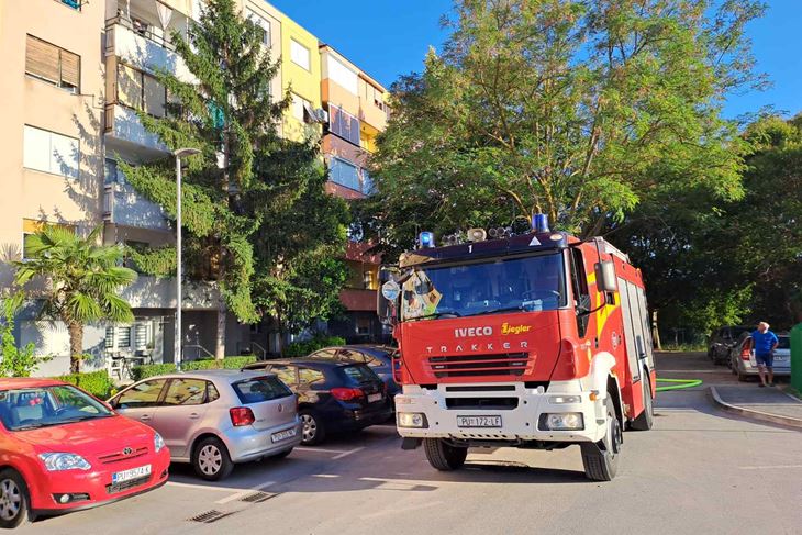 (Snimio Zoran Oljača)