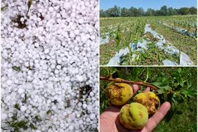 (Arhiva Glasa Istre)