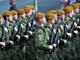 (Snimio Davor Kovačević / Novosti)