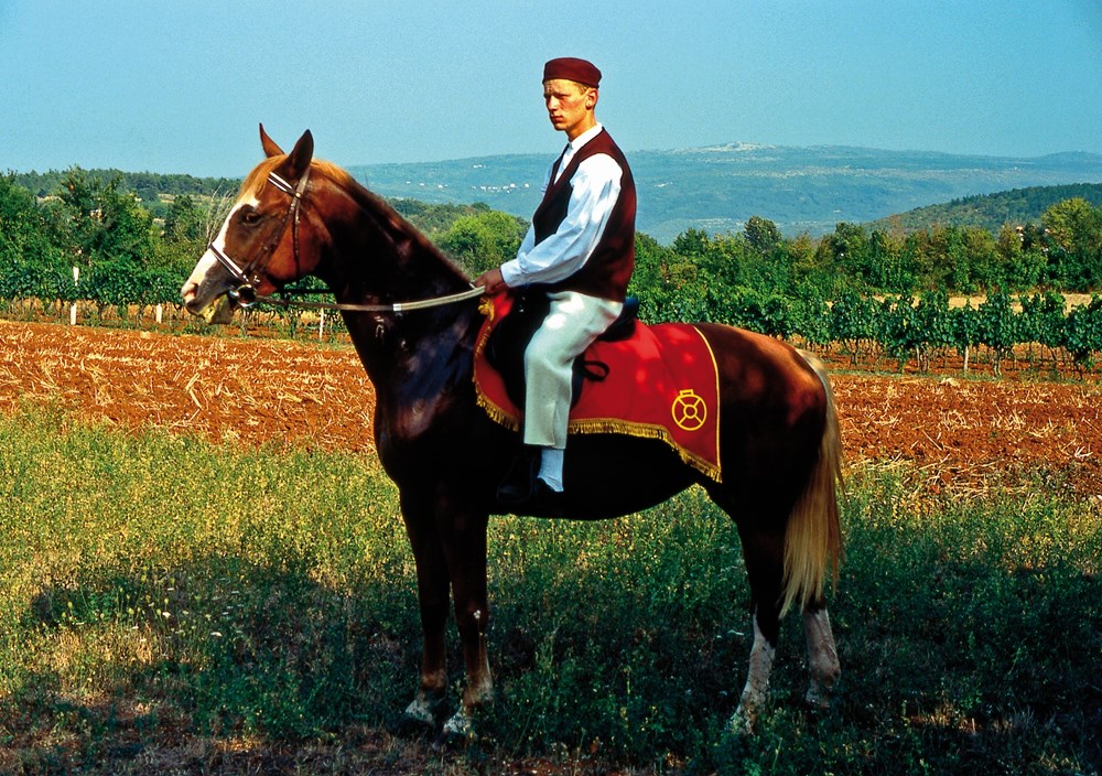 (Foto Danilo Dragosavac)