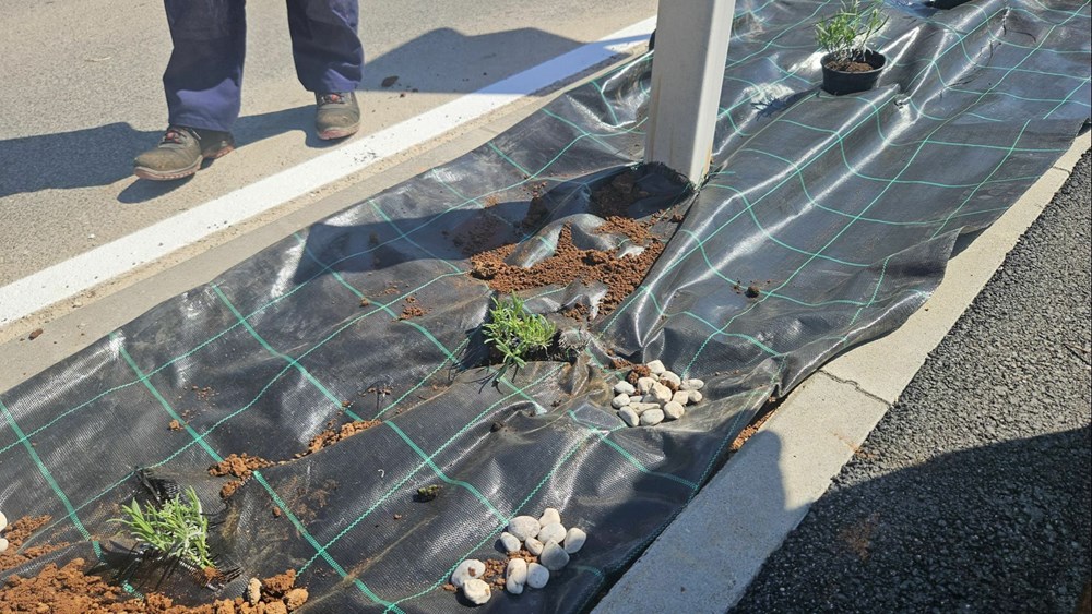 (Foto Općina Medulin)