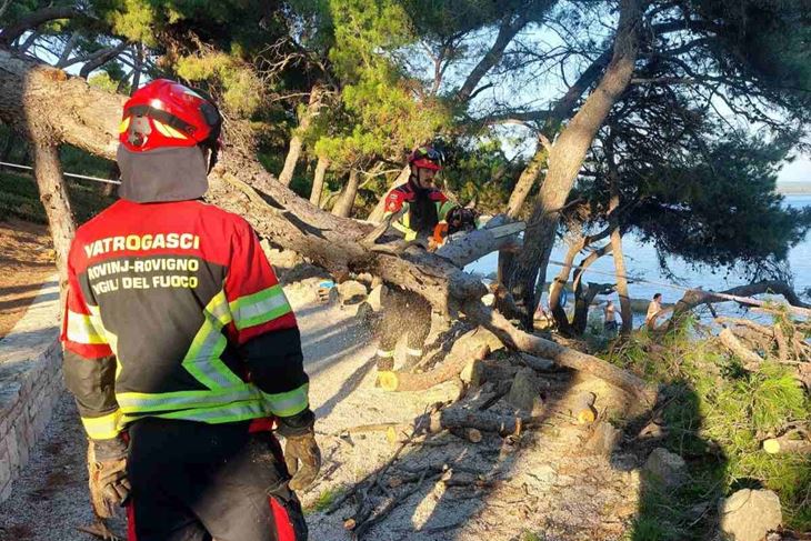 (JVP Rovinj / Facebook)