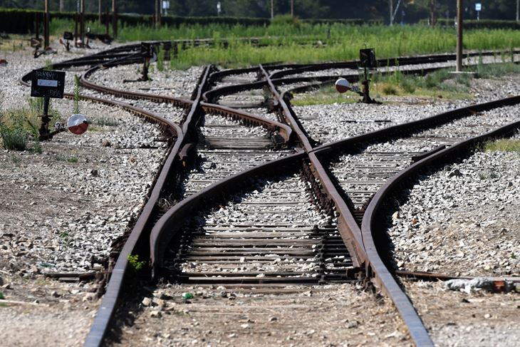 Ilustracija (Snimio MIlivoj Mijošek)