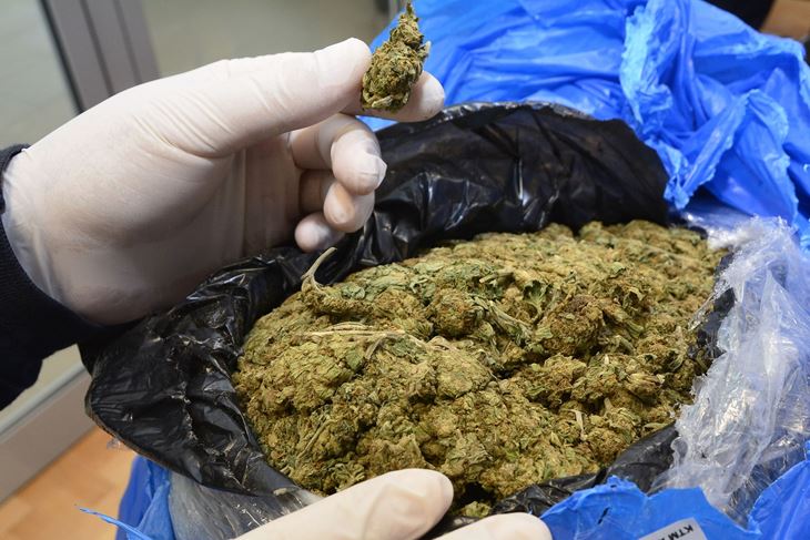 Ilustracija (Snimio Ivica Galović / Pixsell)