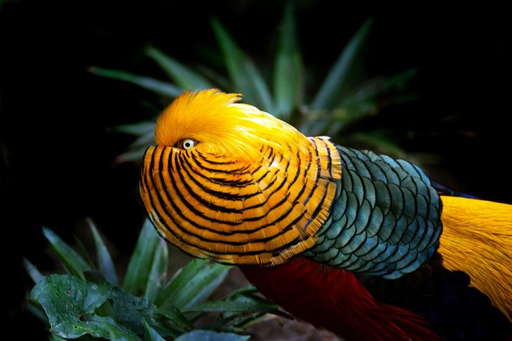 (Unsplash)