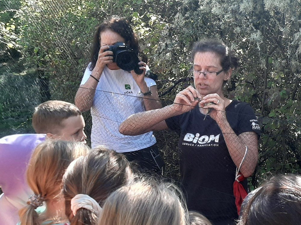 (Foto: BIOM)