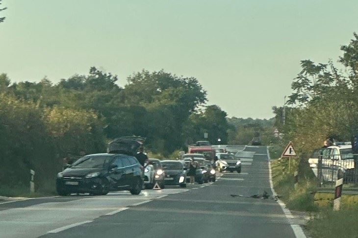 (Foto: Facebook / Policijska patrola - Istra)