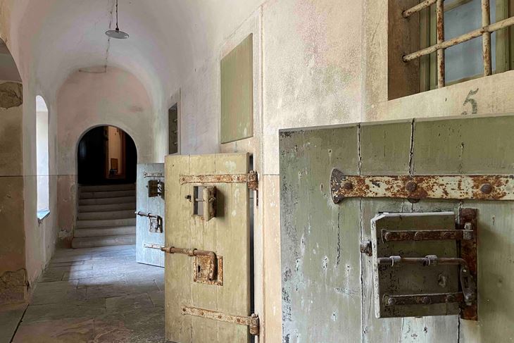 (Snimio Saša Nikolić)