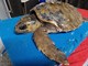 (Aquarium Pula / Facebook)