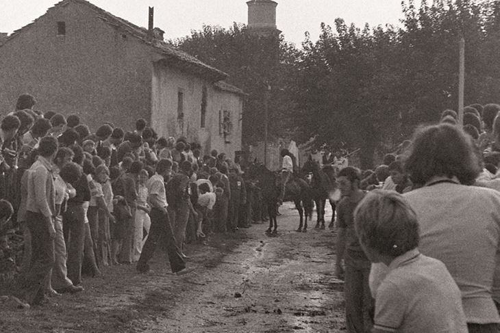 (Arhiva Trke na prstenac)