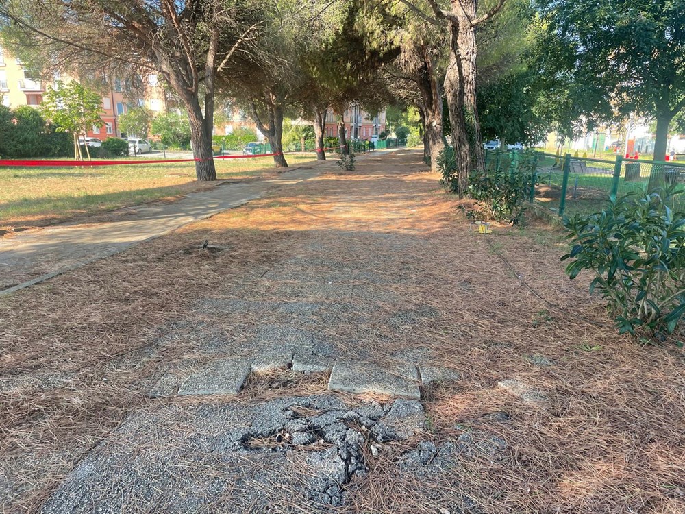 (Foto: Grad Umag)