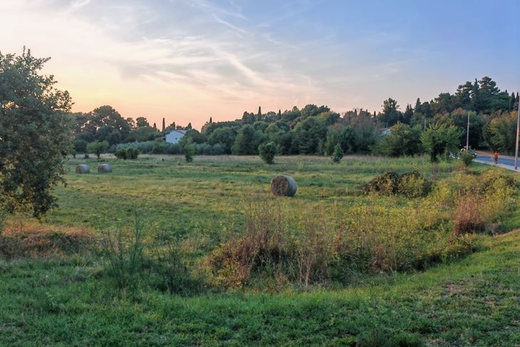 (Snimila Nina Orlović Radić)