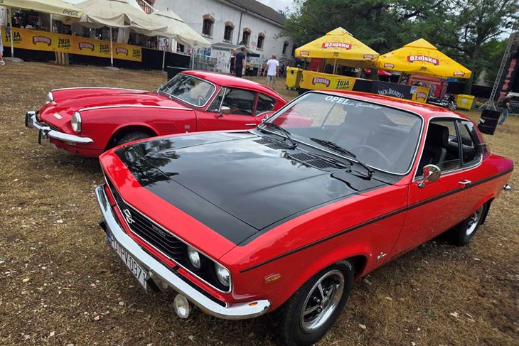 (Snimila Tea Tidić)